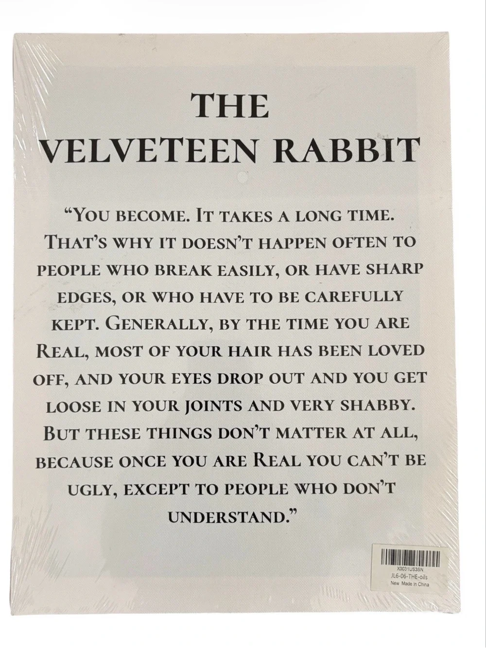 The Velveteen Rabbit Quote Canvas Wall Hanging NWT